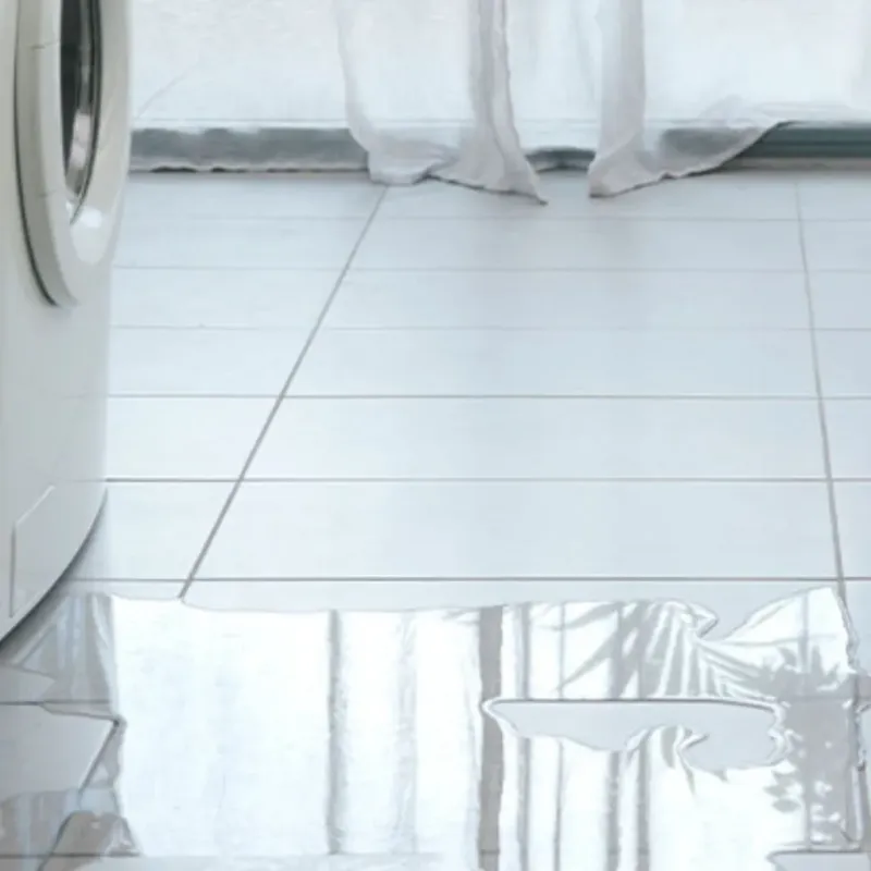 Appliance Leak Cleanup in Yelm, WA