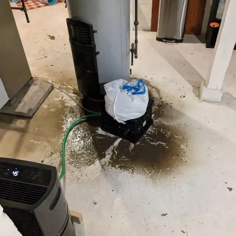 Sewage Backup Cleanup Service in Yelm, WA